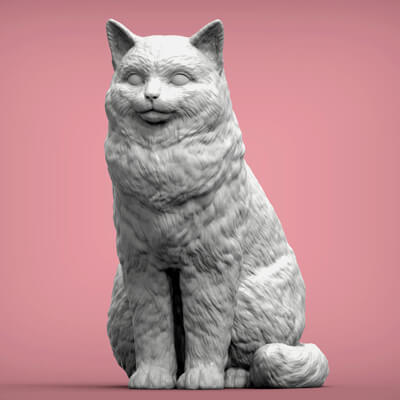 Ragdoll Cat 3D Print Model