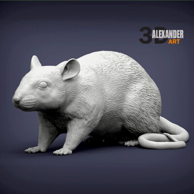 Rat 3D Print Model