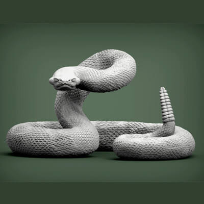 Rattlesnake Snake 3D Model