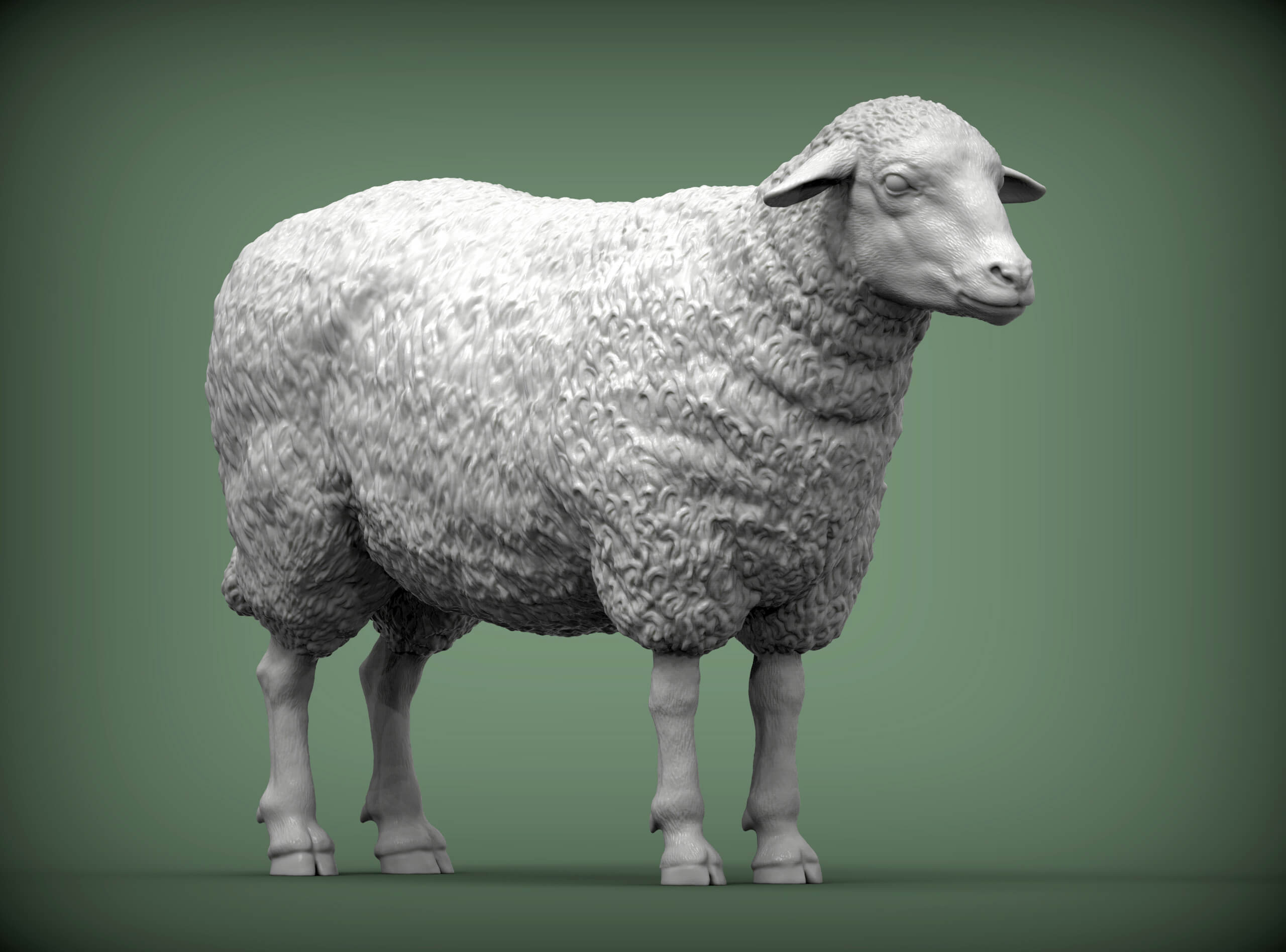 Sheep 3D Print Model 3D Model