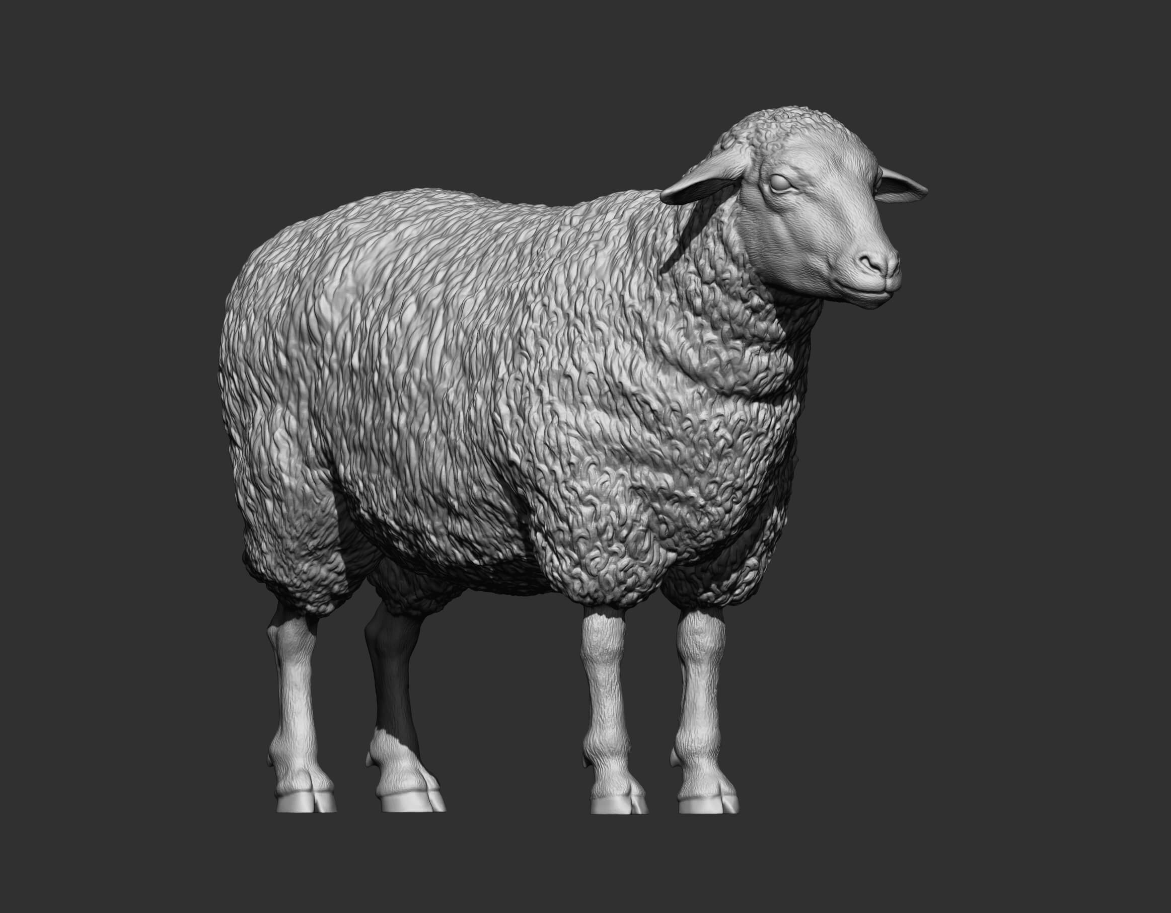 Sheep 3D Print Model 3D Model