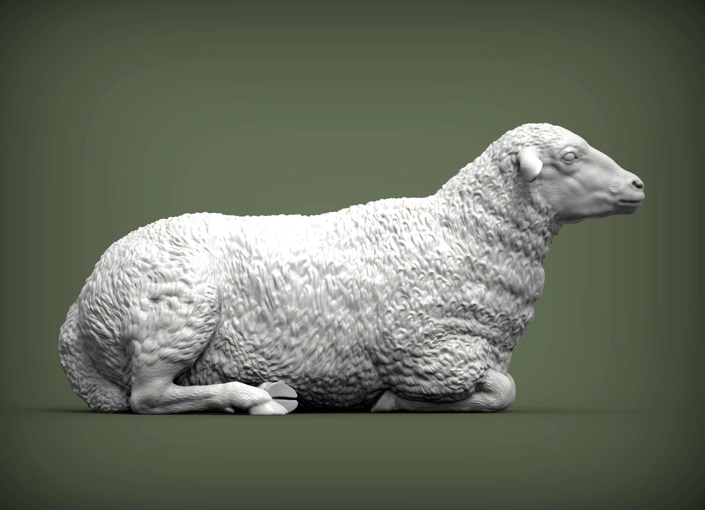 Sheep Lies 3D Print Model 3D Model