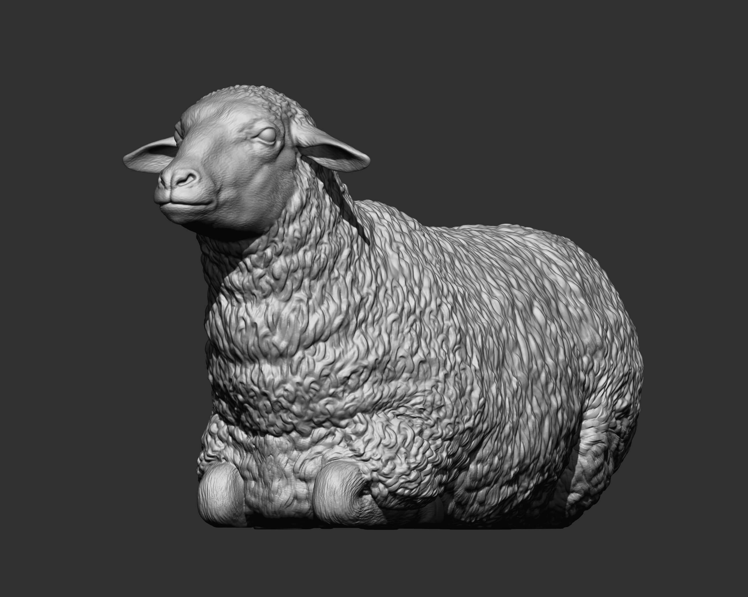 Sheep Lies 3D Print Model 3D Model