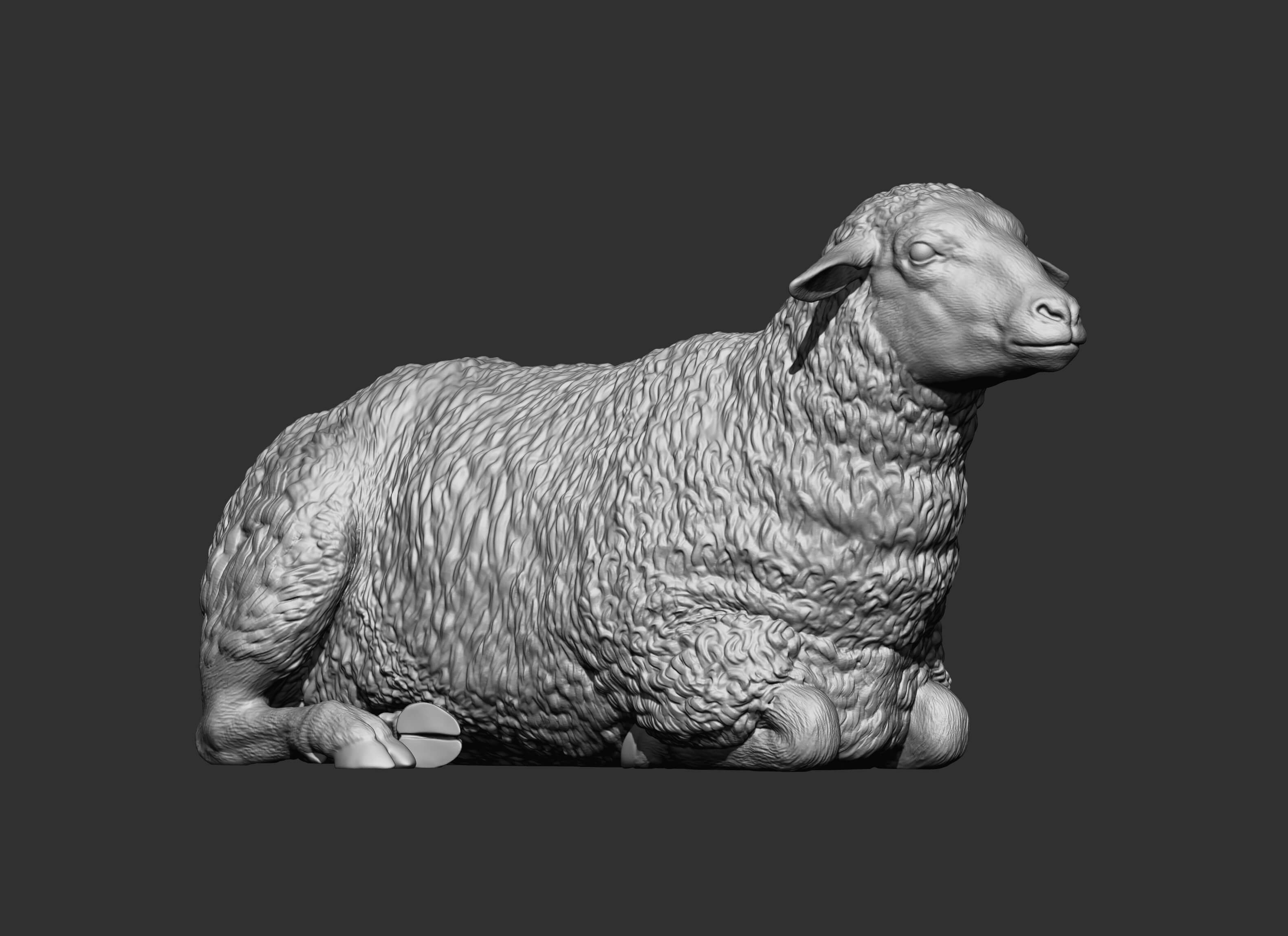 Sheep Lies 3D Print Model 3D Model