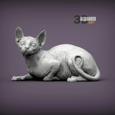 Sphynx Cat Lying