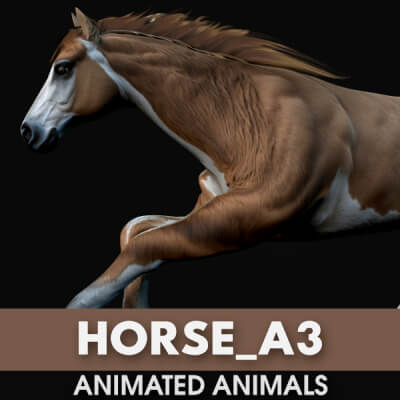 Horse A3 Animated 3D Model