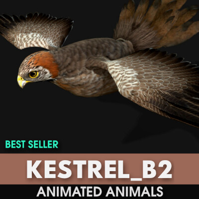 Kestrel B2 Animated