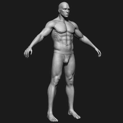 Realistic Human Male Body 3D Model