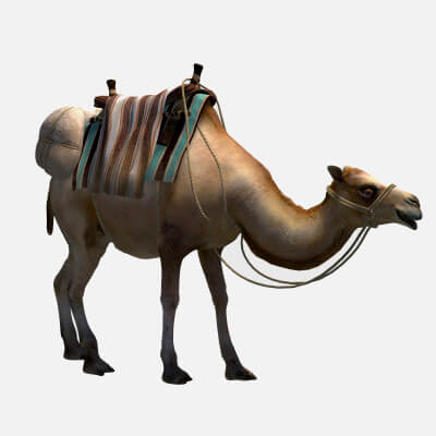 Animated Camel Luggage 3D Model