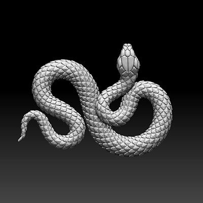 Snake 3D Model