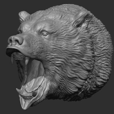 Bear Head 3D Model