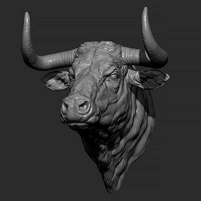 Bull Head Model