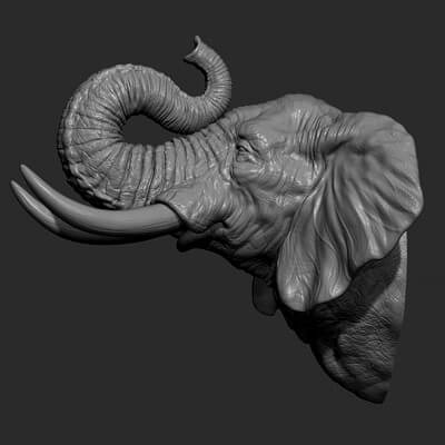 Elephant Raised Its Trunk 3D Model