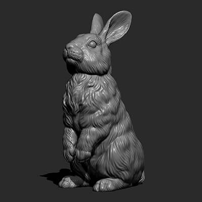 Rabbit 3D Model