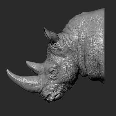 Rhinoceros Head 3D Model