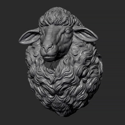 Sheep Head Print 3D Model