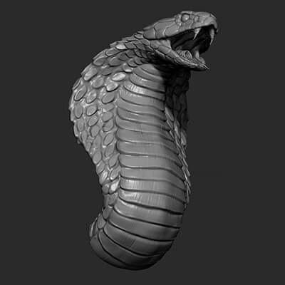 Snake Cobra 3D Model