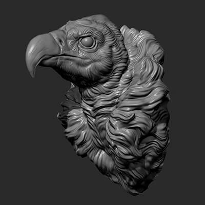 Vulture Head 3D Model