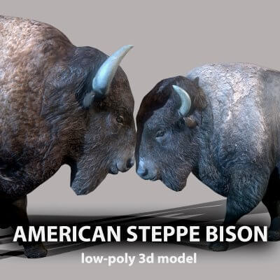 American Steppe Bison 3D Model