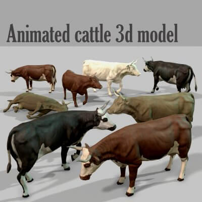 Animated Cattle 3D Model