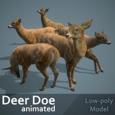 Deer Doe 3D Model