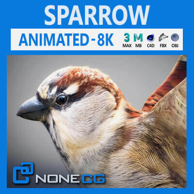 Sparrow Animated