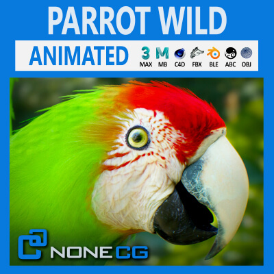 Animated Wild Parrot