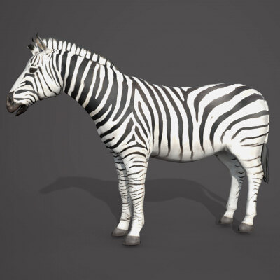 Zebra 3D Model