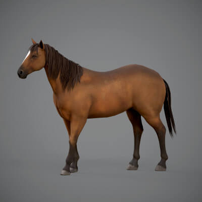 Brown Horse 3D Model