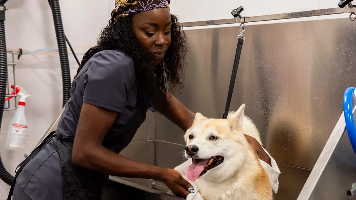 Grooming services at Walmart Pet Services center.