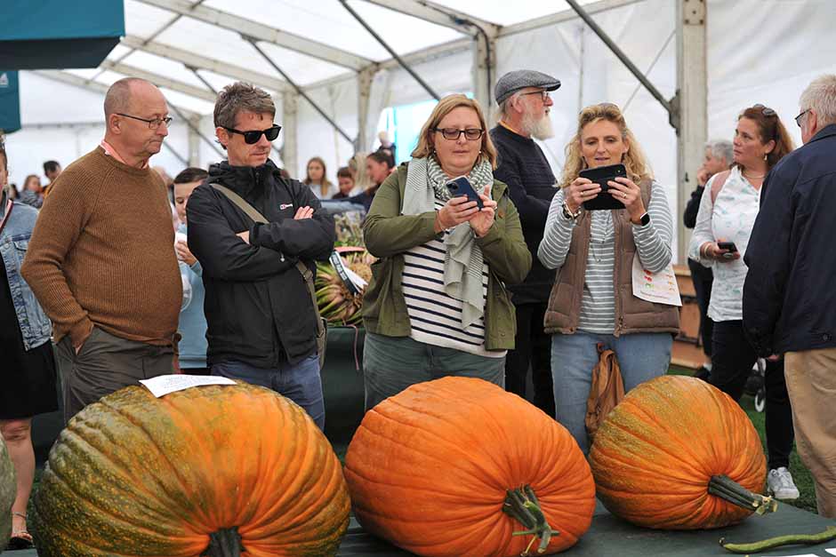 Giant veg