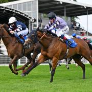 Alpine Girl winning the opening apprentice race