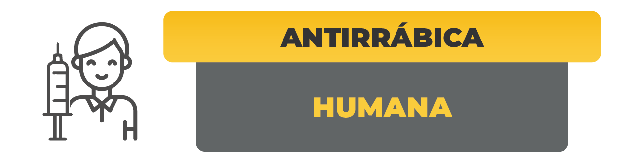 Antirrabica Humana