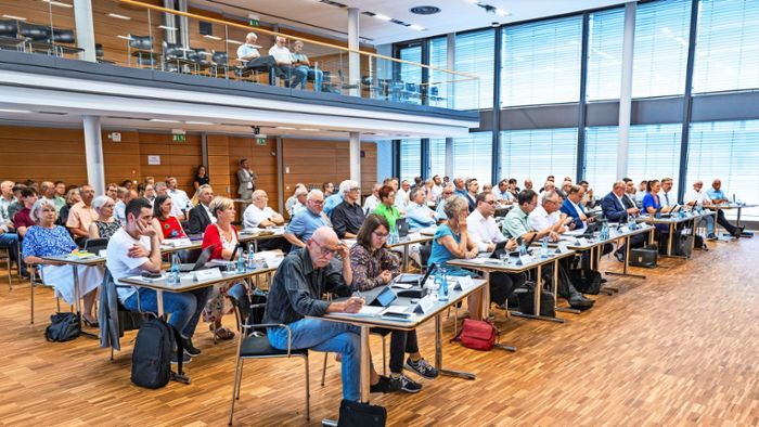 Mehr Unterstützer als Sitze: Bei diesen Wahlen ging die AfD im Calwer Kreistag leer aus