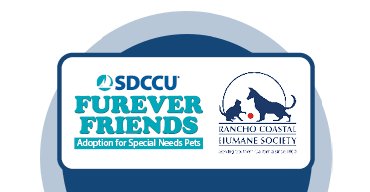 SDCCU Furever Friends