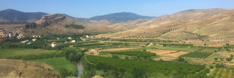 Scenery between Barcelona & Madrid