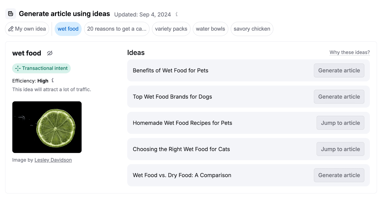 ContentShake AI for finding content ideas