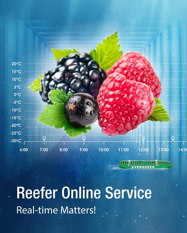 Reefer online service. Real-time matters!