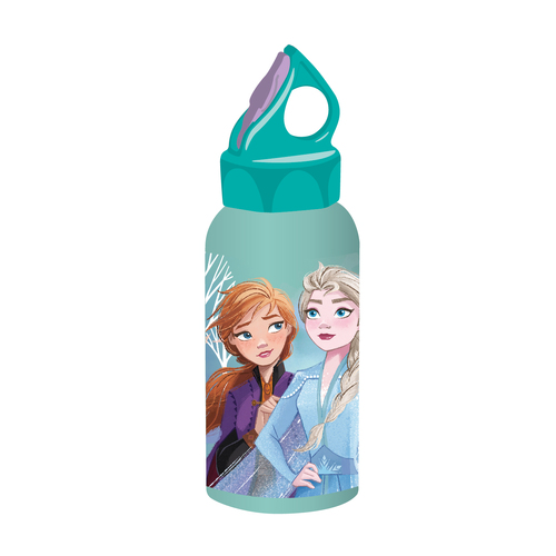 Frozen Stainless Steel Bottle