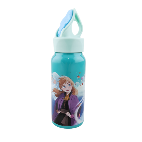 Frozen 2 473mL Stainless Steel Bottle