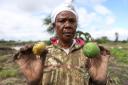 Martha Waema poses for a photo holding a tomato and orange in her three-acre farm that was left submerged by weeks of relentless rainfall in Machakos, Kenya (Andrew Kasuku/AP)