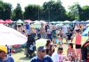 FUN IN THE SUN: Crowds of supporters at Welliestock 2018