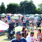 FUN IN THE SUN: Crowds of supporters at Welliestock 2018
