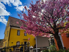 Kniely Haus Leutschach | © Kniely Haus Leutschach