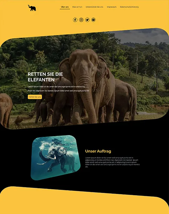 Preview: NGO Zoo Website