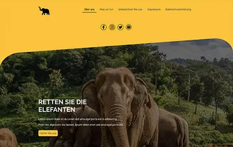 Preview: NGO Zoo Website