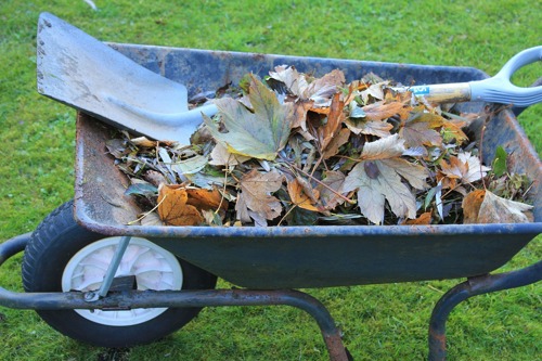 Garden waste 