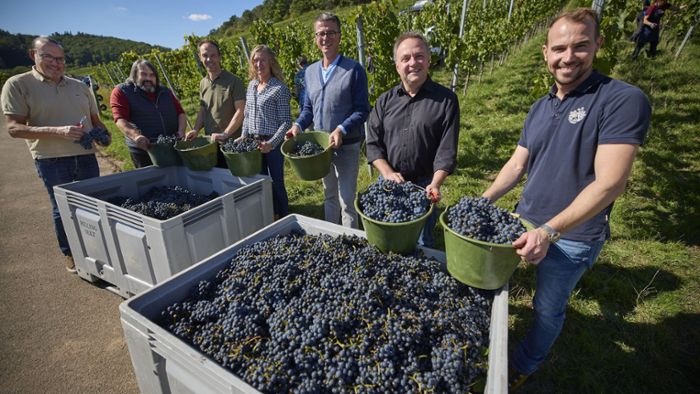 Leseraktion der Stuttgarter Zeitung: StZ und Weingut Aldinger machen zusammen Wein