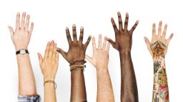 A group of raised hands