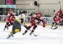 Eddie Bebris - Swindon Wildcats v The Bees Photo: KLM Photography